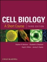 Cell Biology