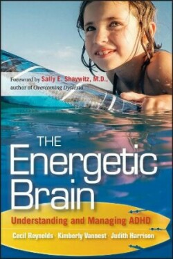 Energetic Brain