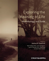 Exploring the Meaning of Life