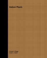 Indoor Plants