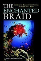 Enchanted Braid