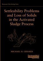 Settleability Problems and Loss of Solids in the Activated Sludge Process