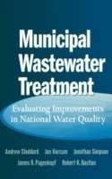 Municipal Wastewater Treatment