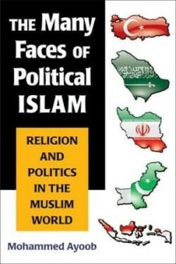 Many Faces of Political Islam