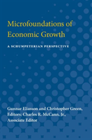 Microfoundations of Economic Growth