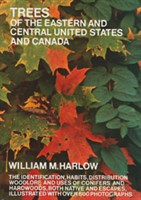 Trees of the Eastern and Central United States and Canada