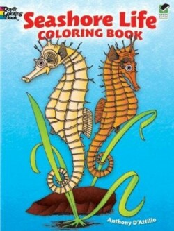 Seashore Life Coloring Book