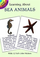 Learning About Sea Animals