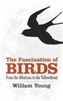 The Fascination of Birds