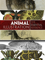 Animal Illustration: the Essential Reference