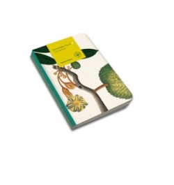 Remarkable Plants: Notebook Set (3) - A5