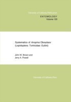 Systematics of Anopina Obraztsov (Lepidoptera Tortricidae: Euliini)