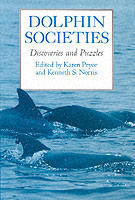 Dolphin Societies
