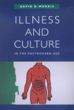 Illness and Culture in the Postmodern Age