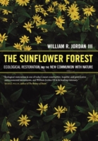 Sunflower Forest