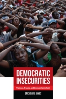Democratic Insecurities