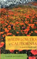 Wildflowers of California