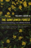 Sunflower Forest
