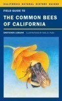 Field Guide to the Common Bees of California