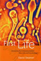 First Life