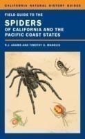 Field Guide to the Spiders of California and the Pacific Coast States