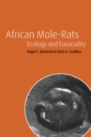 African Mole-Rats