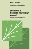 Introduction to Theoretical Neurobiology: Volume 2, Nonlinear and Stochastic Theories