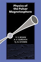 Physics of the Pulsar Magnetosphere