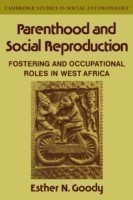 Parenthood and Social Reproduction