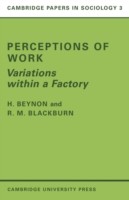 Perceptions of Work