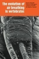 Evolution of Air Breathing in Vertebrates