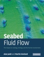 Seabed Fluid Flow