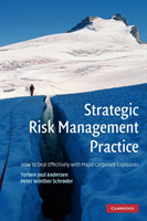 Strategic Risk Management Practice