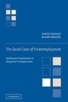 Social Costs of Underemployment