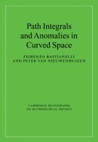 Path Integrals and Anomalies in Curved Space