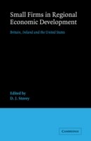 Small Firms in Regional Economic Development