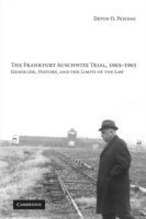 Frankfurt Auschwitz Trial, 1963–1965