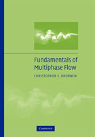 Fundamentals of Multiphase Flow