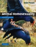 Animal Homosexuality