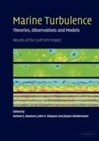 Marine Turbulence