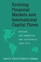 Evolving Financial Markets and International Capital Flows