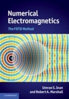 Numerical Electromagnetics