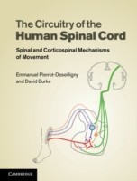 The Circuitry of the Human Spinal Cord, 2nd Ed.