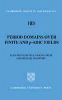 Period Domains over Finite and p-adic Fields