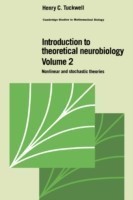 Introduction to Theoretical Neurobiology: Volume 2, Nonlinear and Stochastic Theories