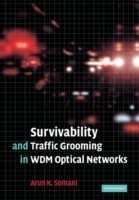 Survivability and Traffic Grooming in Wdm Optical Networks