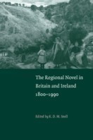 Regional Novel in Britain and Ireland