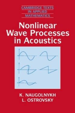 Nonlinear Wave Processes in Acoustics