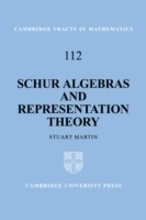 Schur Algebras and Representation Theory