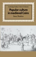 Popular Culture in Medieval Cairo